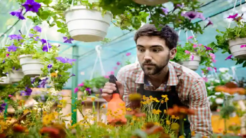 Decadgarden Yard Tips by Decoratoradvice