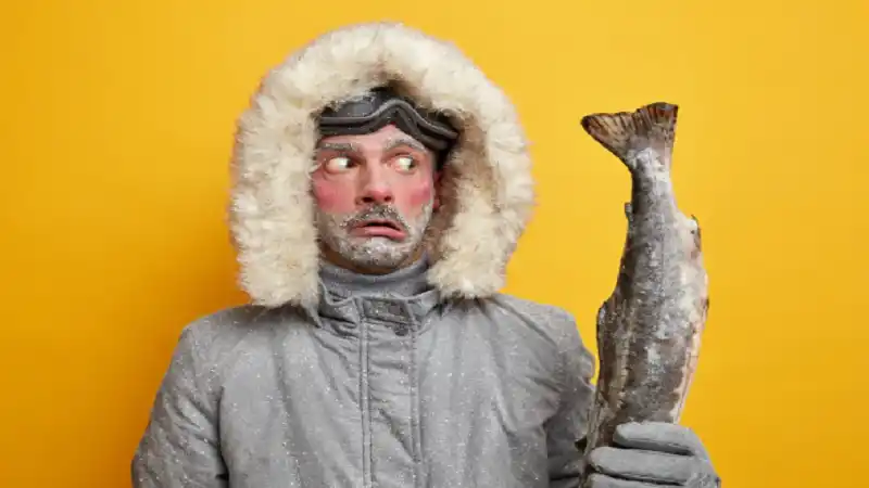 TheStripesBlog Frank Fisher